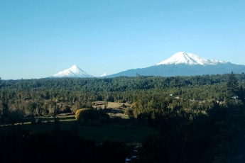 Pasaje Ricardo García. Pelluco Alto Puerto Montt, ,Parcela,En Venta,1099