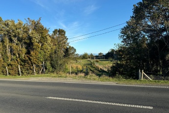 Panitao bajo, Puerto Montt, ,Parcela,En Venta,1132