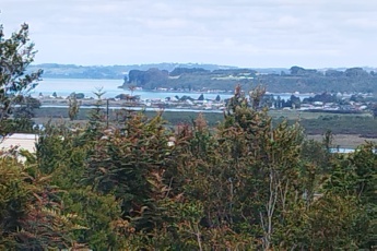 Piedra azul, Puerto Montt, ,Parcela,En Arriendo,1144
