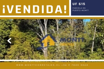 Puerto Montt, Región de Los Lagos, ,Parcela,En Venta,1014