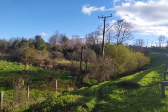 Cañitas, estación Rio Frío, Región de los Lagos, ,Terreno,En Venta,1049