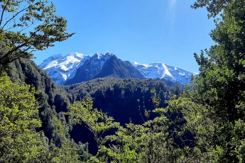 Polincay, Lago Chapo Puerto Montt, ,Terreno,En Venta,1059